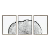 Sylvie Tree Rings Set Framed Canvas by kateandlaurel - product image 8 for Resin Society