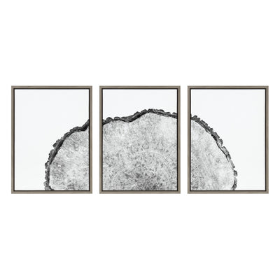 Sylvie Tree Rings Set Framed Canvas by kateandlaurel - product image 8 for Resin Society