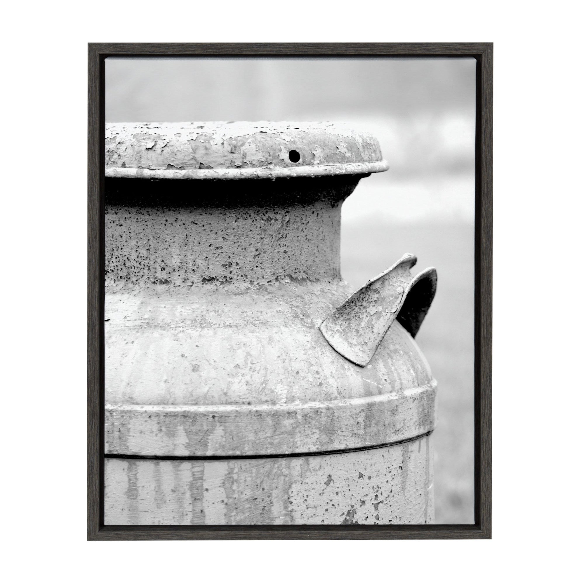 Sylvie Milk Can Framed Canvas by Jami Skarda by kateandlaurel - main product image for Resin Society