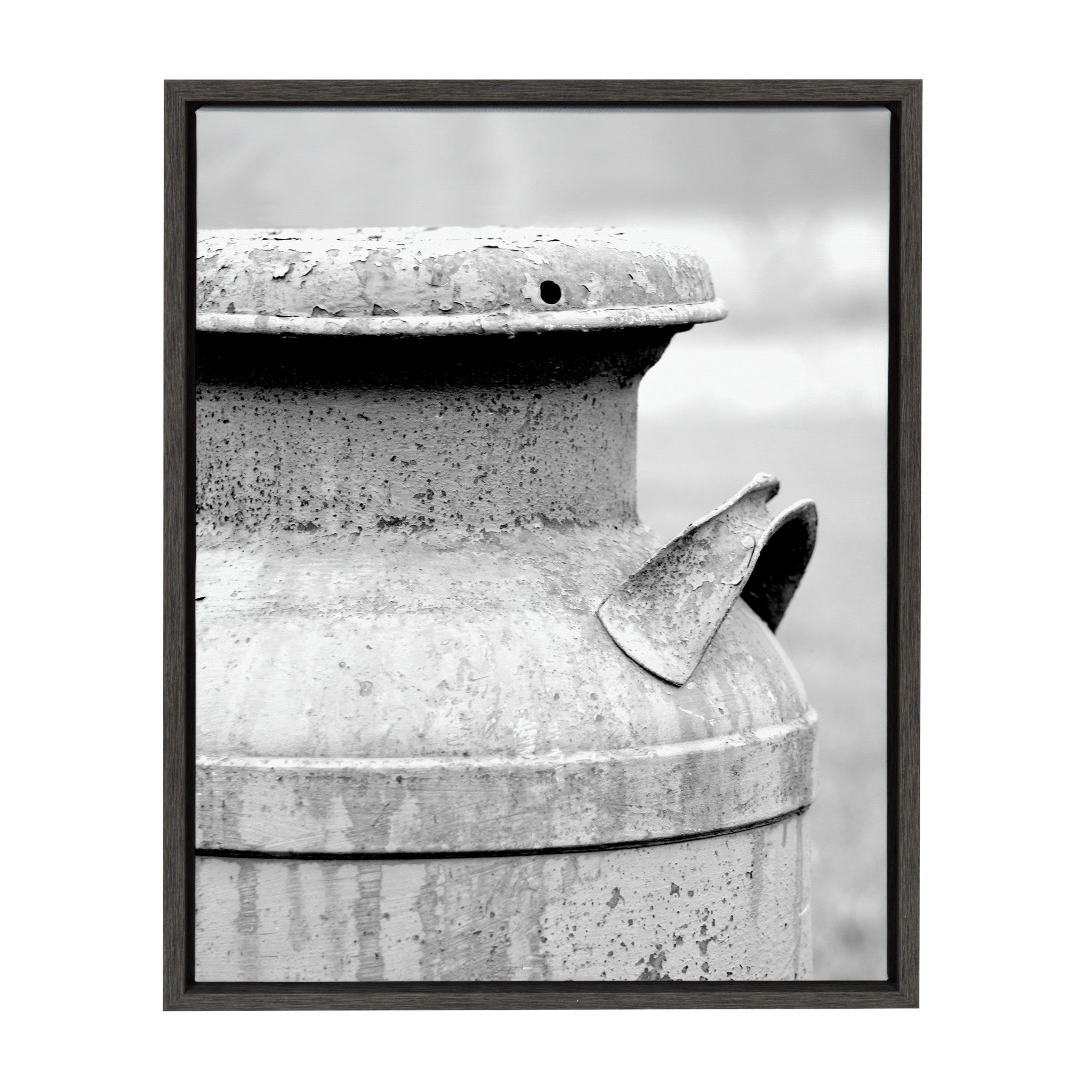 Sylvie Milk Can Framed Canvas by Jami Skarda by kateandlaurel - main product image for Resin Society