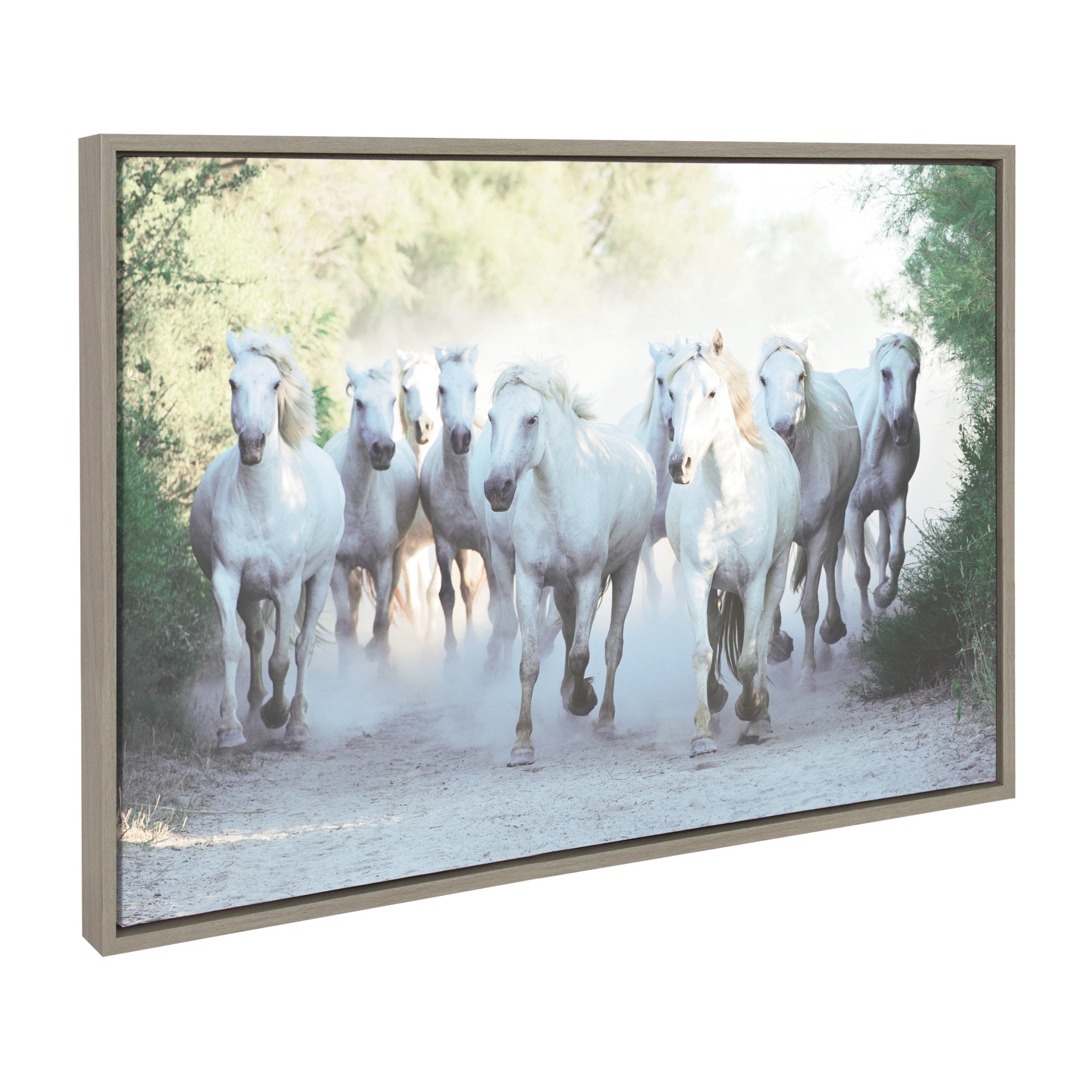 Sylvie Camargue Horses Framed Canvas by Laura Evans by kateandlaurel - product image 2 for Resin Society