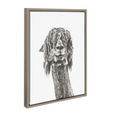Sylvie Curly Hair Alpaca Framed Canvas by Simon Te Tai by kateandlaurel - product image 7 for Resin Society