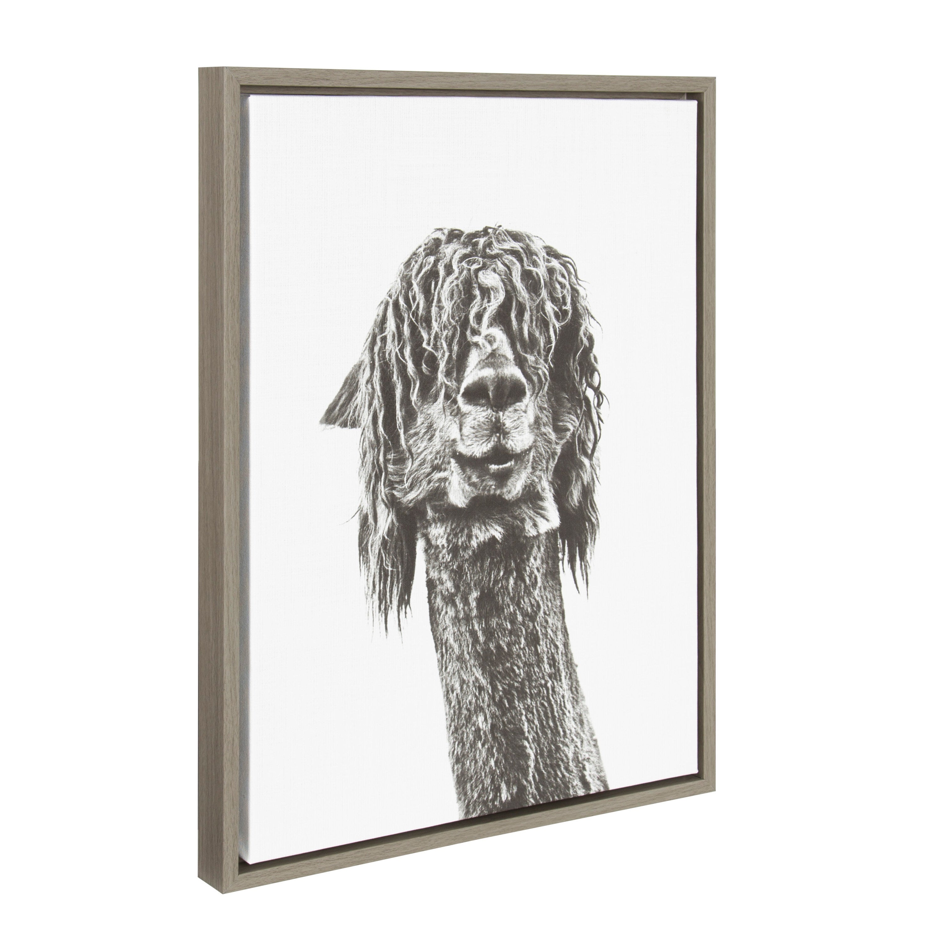 Sylvie Curly Hair Alpaca Framed Canvas by Simon Te Tai by kateandlaurel - product image 7 for Resin Society