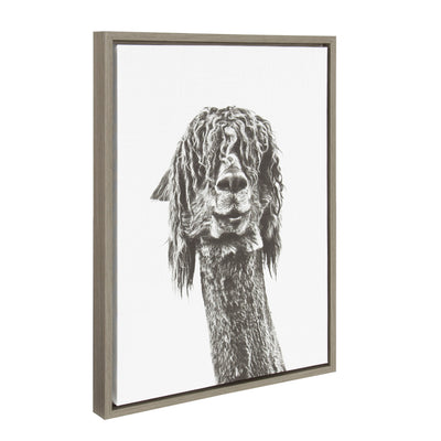 Sylvie Curly Hair Alpaca Framed Canvas by Simon Te Tai by kateandlaurel - product image 7 for Resin Society