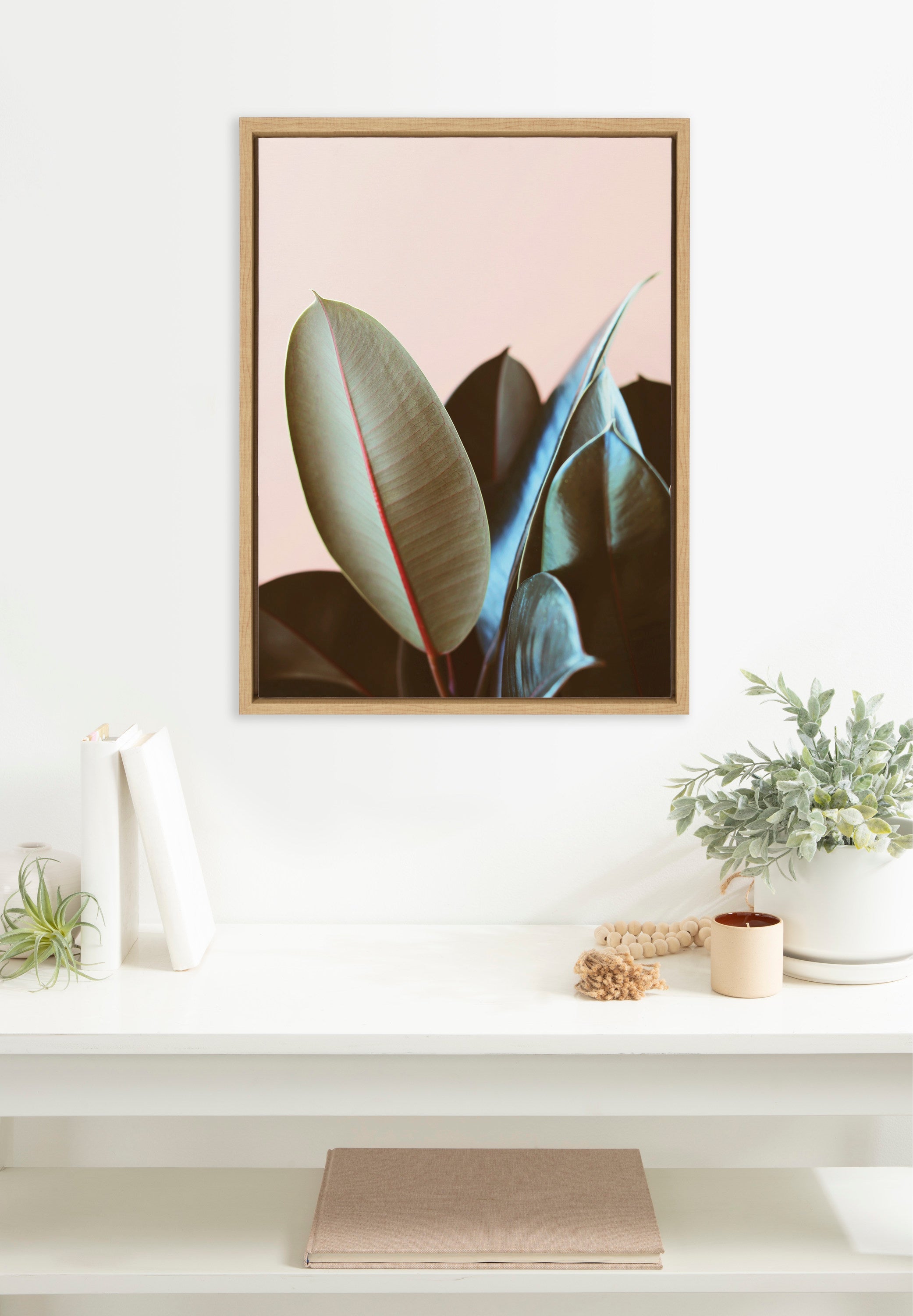 Sylvie Ficus Elastica Framed Canvas by Alicia Bock