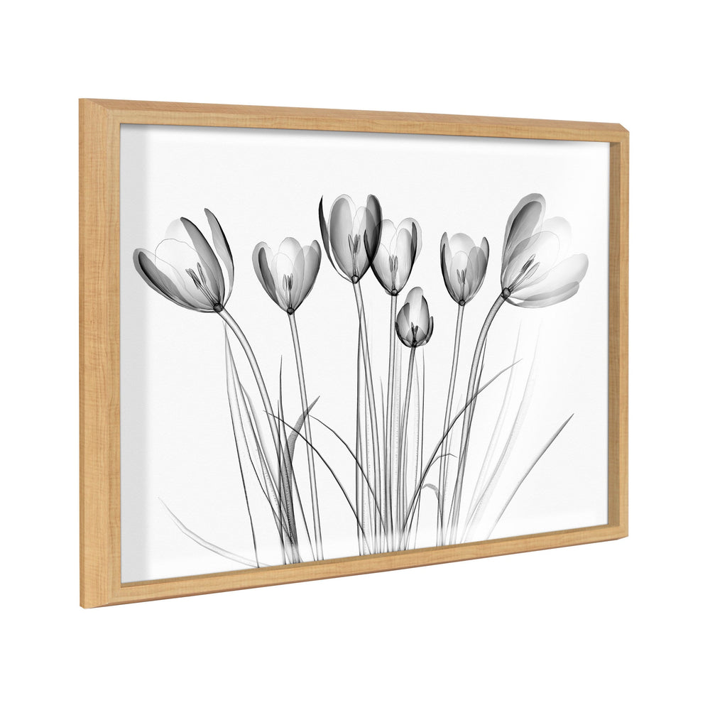 Black and white framed print titled Blake Crocus X Ray Floral BW showing a floral x-ray design