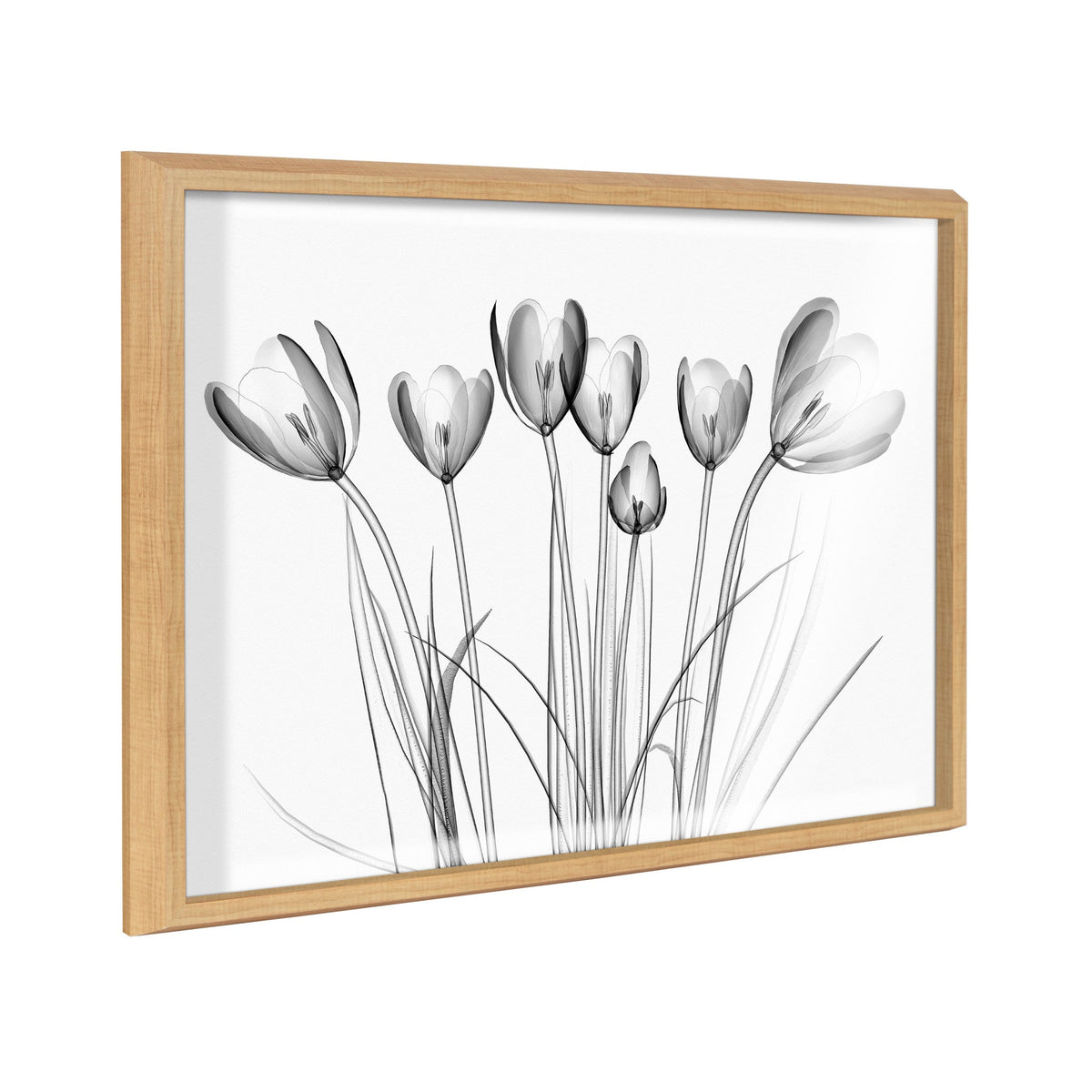 Black and white framed print titled Blake Crocus X Ray Floral BW showing a floral x-ray design