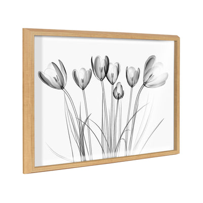 Black and white framed print titled Blake Crocus X Ray Floral BW showing a floral x-ray design