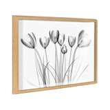 Black and white X-ray style print of crocus flowers with elongated stems and translucent petals in a light wood frame, shown angled against white background.