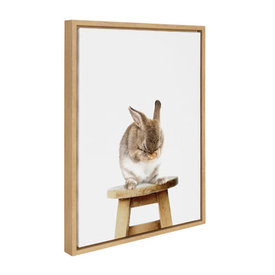 Sylvie Shy Rabbit Framed Canvas by Amy Peterson by kateandlaurel - main product image for Resin Society