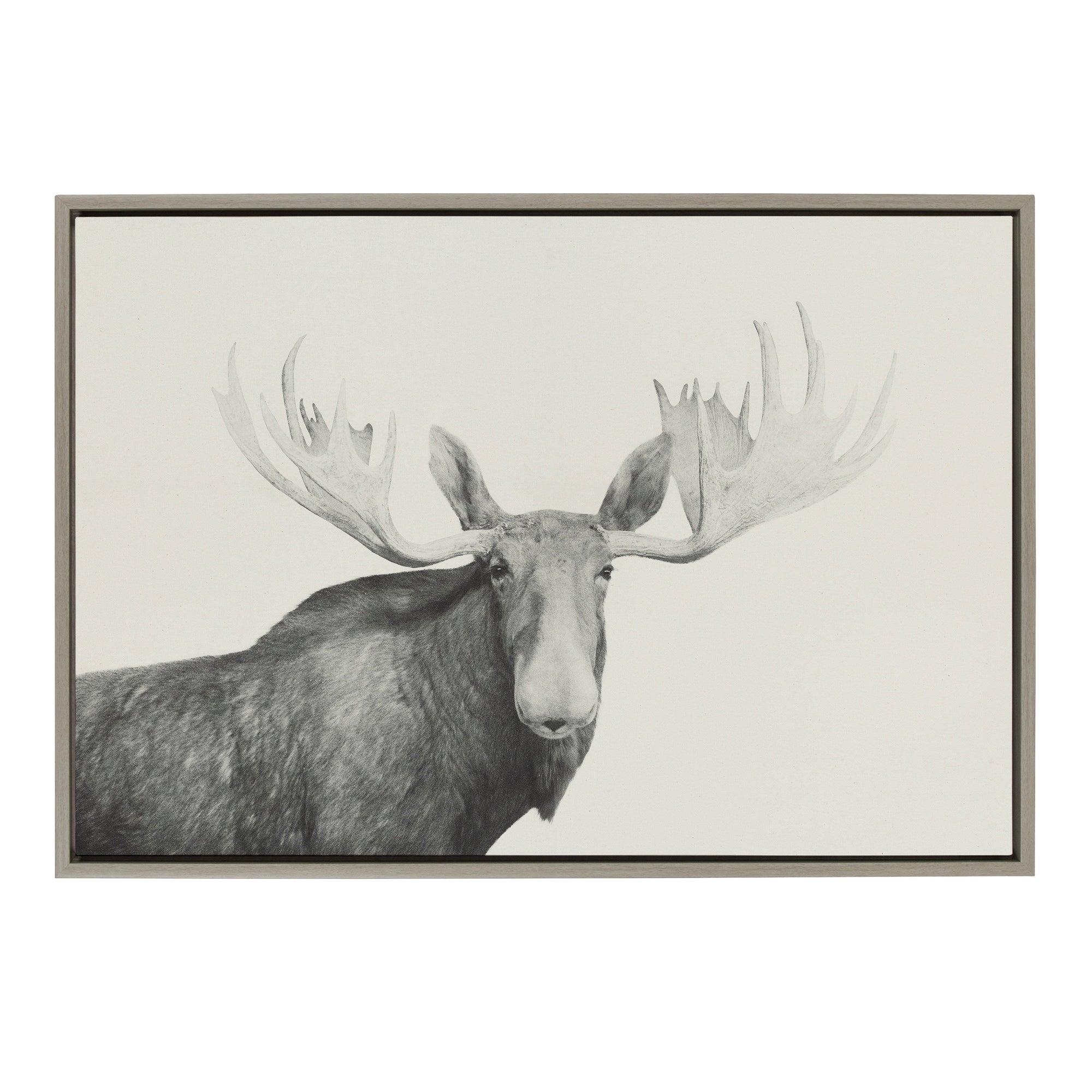 Sylvie Moose 2 crop BW Framed Canvas by kateandlaurel - main product image for Resin Society