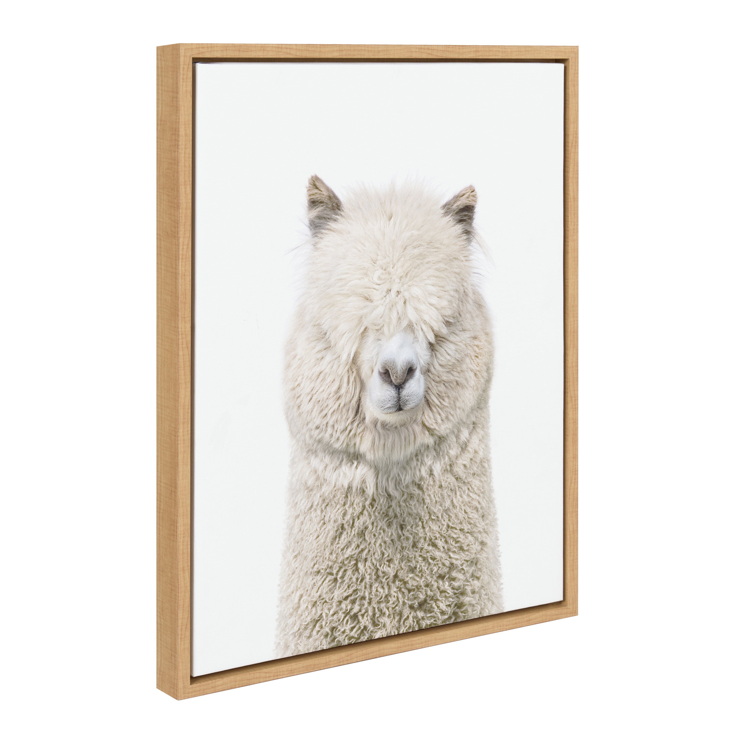 Sylvie Alpaca Fluff Framed Canvas by Amy Peterson Art Studio by kateandlaurel - product image 10 for Resin Society