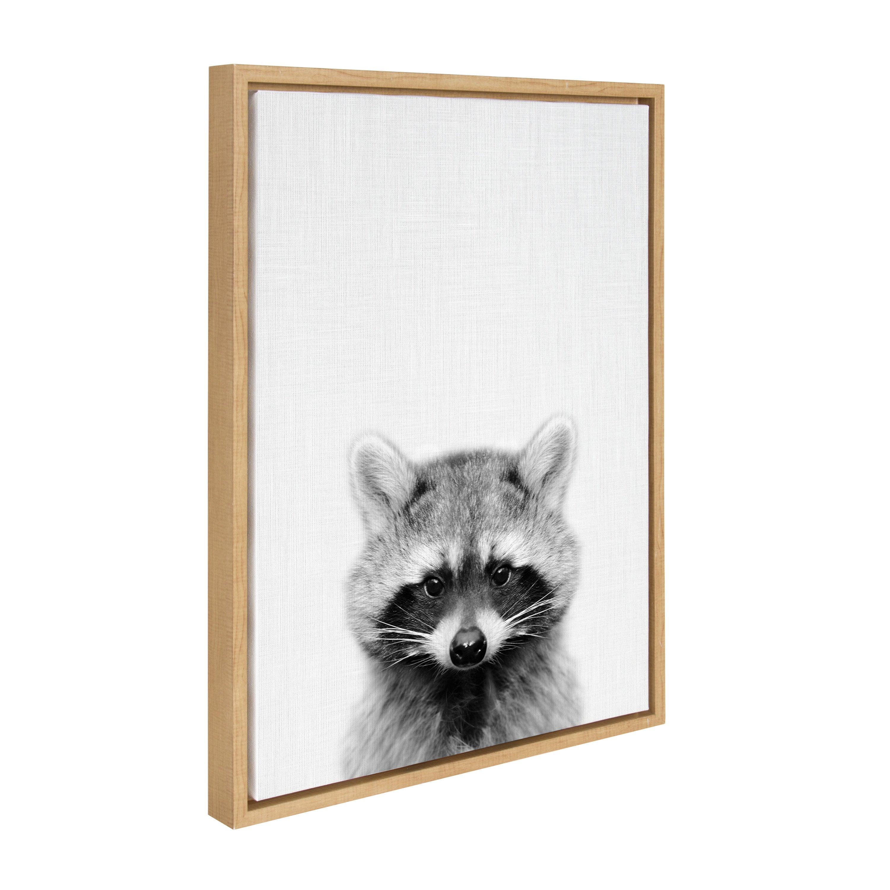 Sylvie Raccoon Framed Canvas by Simon Te Tai by kateandlaurel - product image 12 for Resin Society