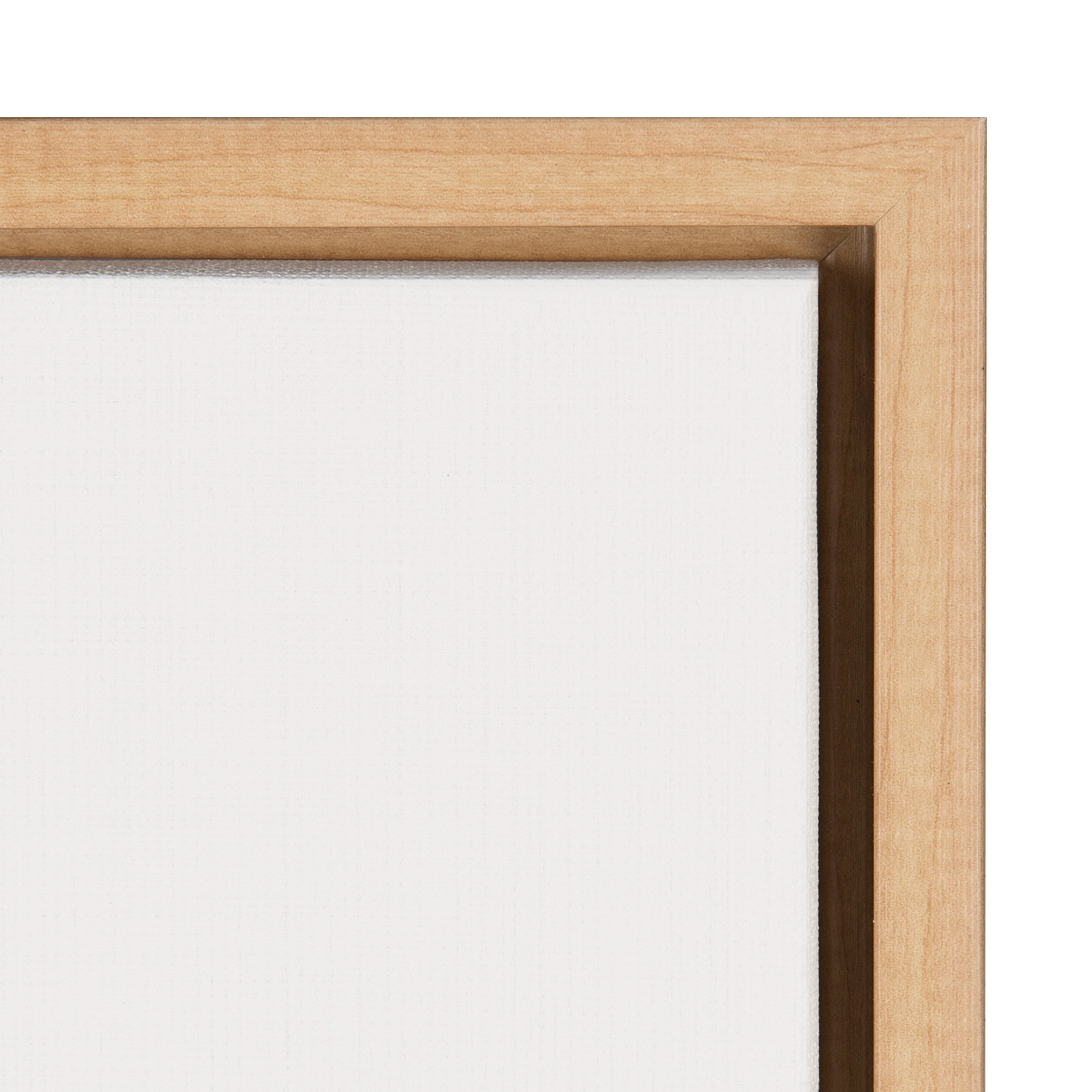 Sylvie Peace Dove Framed Canvas by Rachel Lee of My Dream Wall
