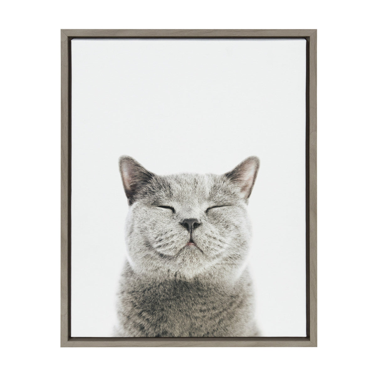Framed Sylvie Smiling Cat canvas artwork with a modern floating frame