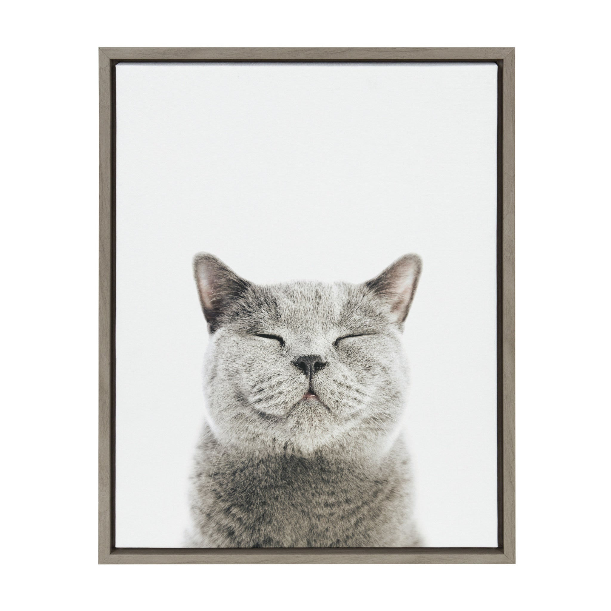 Framed Sylvie Smiling Cat canvas artwork with a modern floating frame