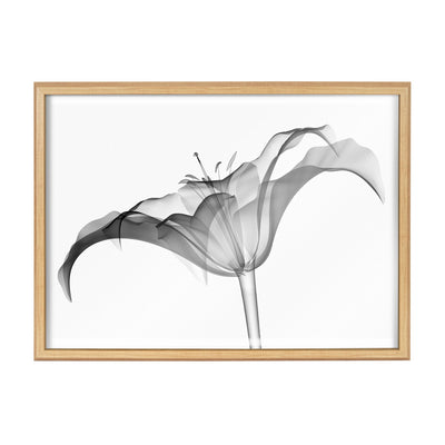 Blake Lily X Ray Floral BW Framed Printed Art by The Creative Bunch Studio