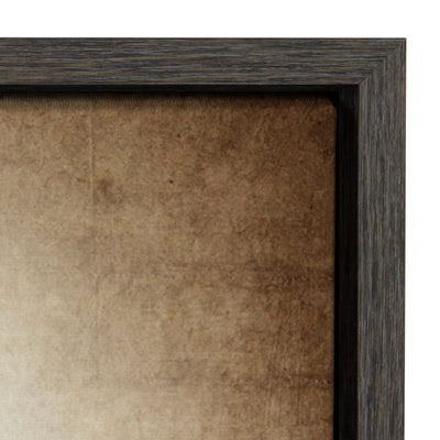 Sylvie Vintage Baseball Glove Framed Canvas by kateandlaurel - product image 3 for Resin Society