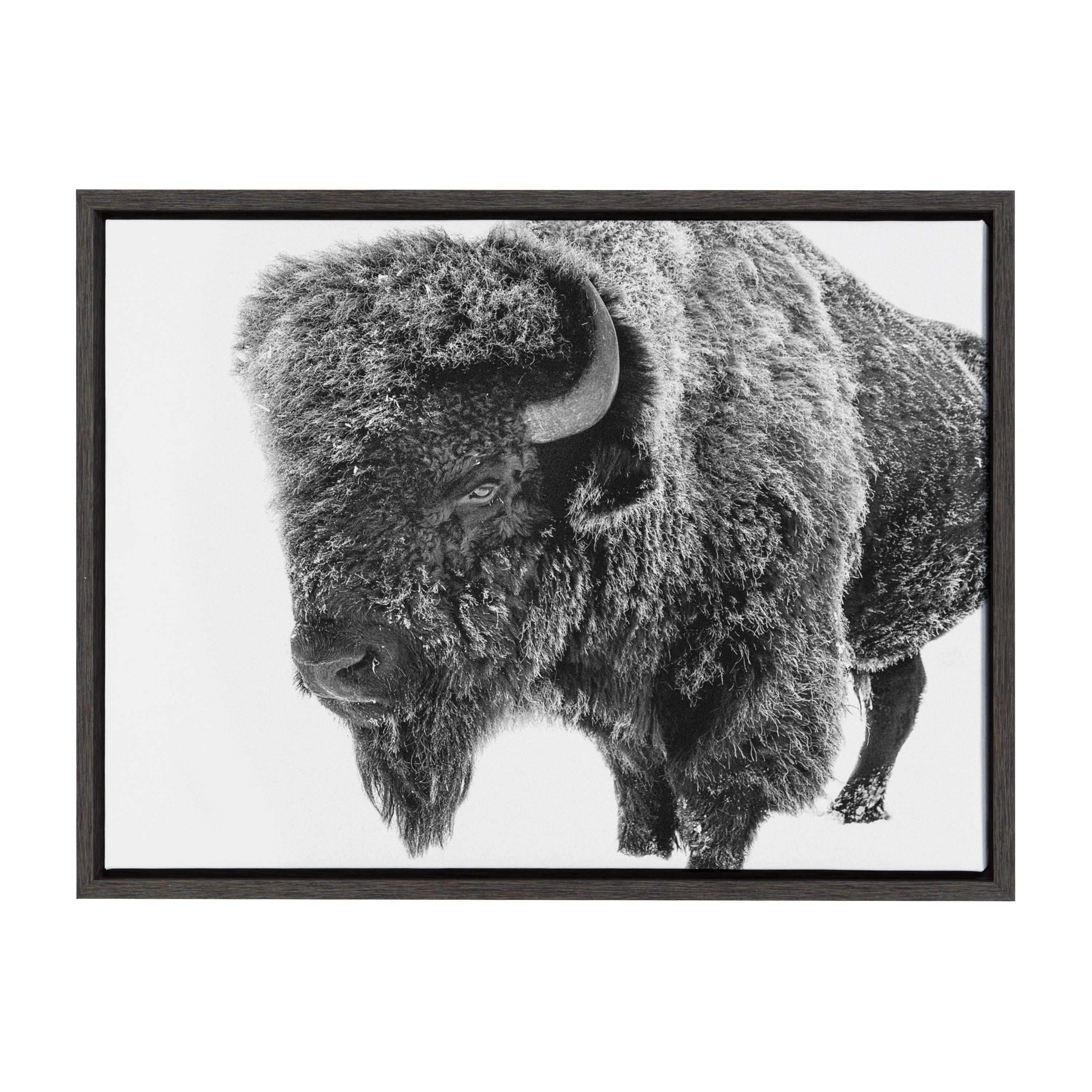 Sylvie Bison in Snow Black and White Framed Canvas by Amy Peterson Art Studio