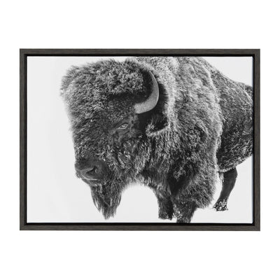 Sylvie Bison in Snow Black and White Framed Canvas by Amy Peterson Art Studio
