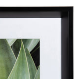 Calter Succulent Leaves Framed Print Art Set by Amy Peterson by kateandlaurel - product image 5 for Resin Society