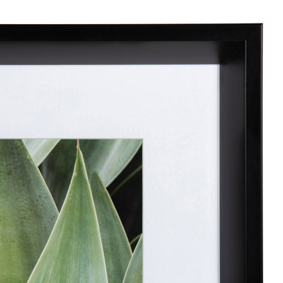 Calter Succulent Leaves Framed Print Art Set by Amy Peterson by kateandlaurel - product image 5 for Resin Society