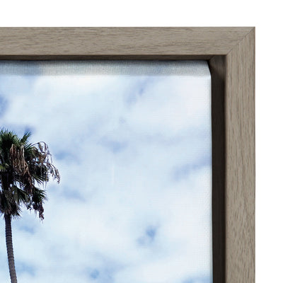 Sylvie La Jolla Commute Framed Canvas by Rachel Bolgov by kateandlaurel - product image 3 for Resin Society