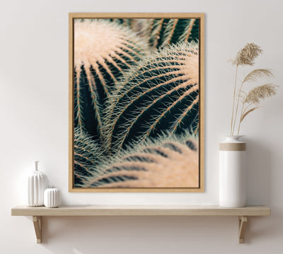 Sylvie Barrel Cactus Framed Canvas by Alicia Bock