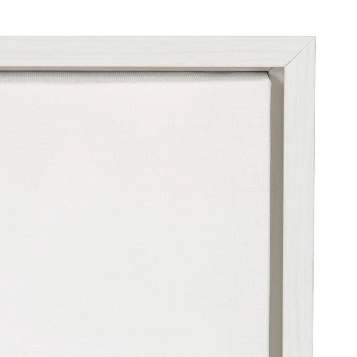Sylvie Alpaca in the Tub Color Framed Canvas by kateandlaurel - product image 3 for Resin Society