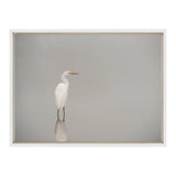 Sylvie Great White Egret Framed Canvas by kateandlaurel - product image 2 for Resin Society