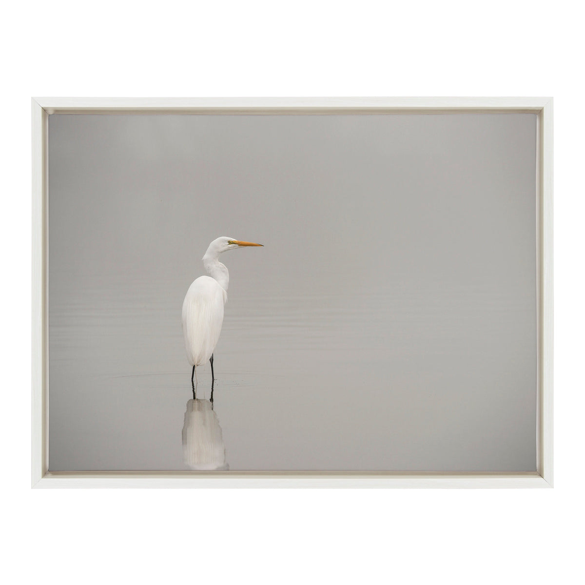 Sylvie Great White Egret Framed Canvas by kateandlaurel - product image 2 for Resin Society
