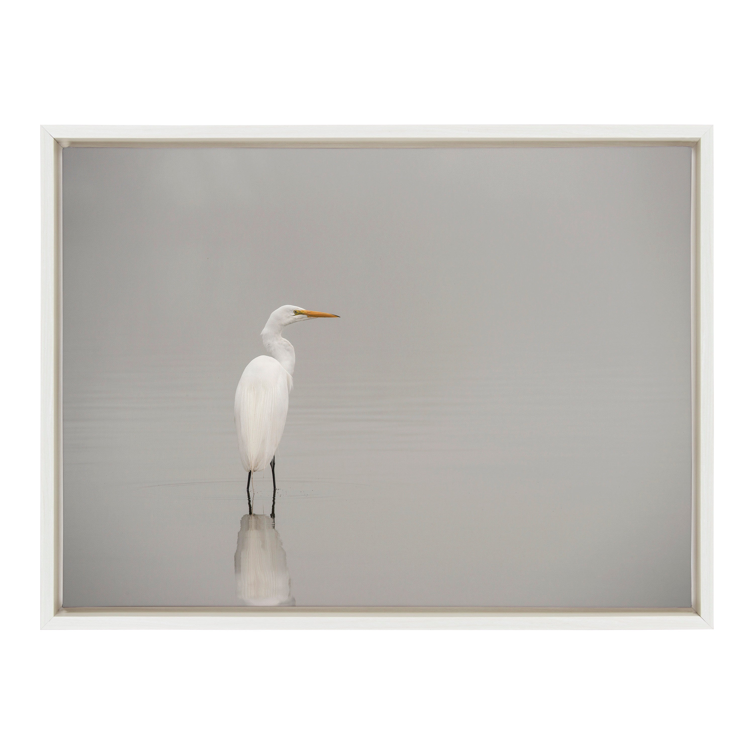 Sylvie Great White Egret Framed Canvas by kateandlaurel - product image 2 for Resin Society