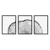 Sylvie Tree Rings Set Framed Canvas by kateandlaurel - product image 14 for Resin Society