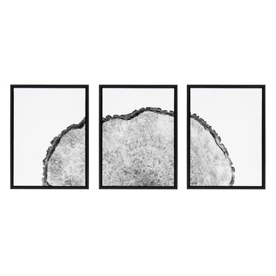 Sylvie Tree Rings Set Framed Canvas by kateandlaurel - product image 14 for Resin Society