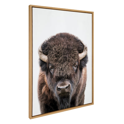 Framed Sylvie Bison Portrait floating canvas art by Amy Peterson Art Studio