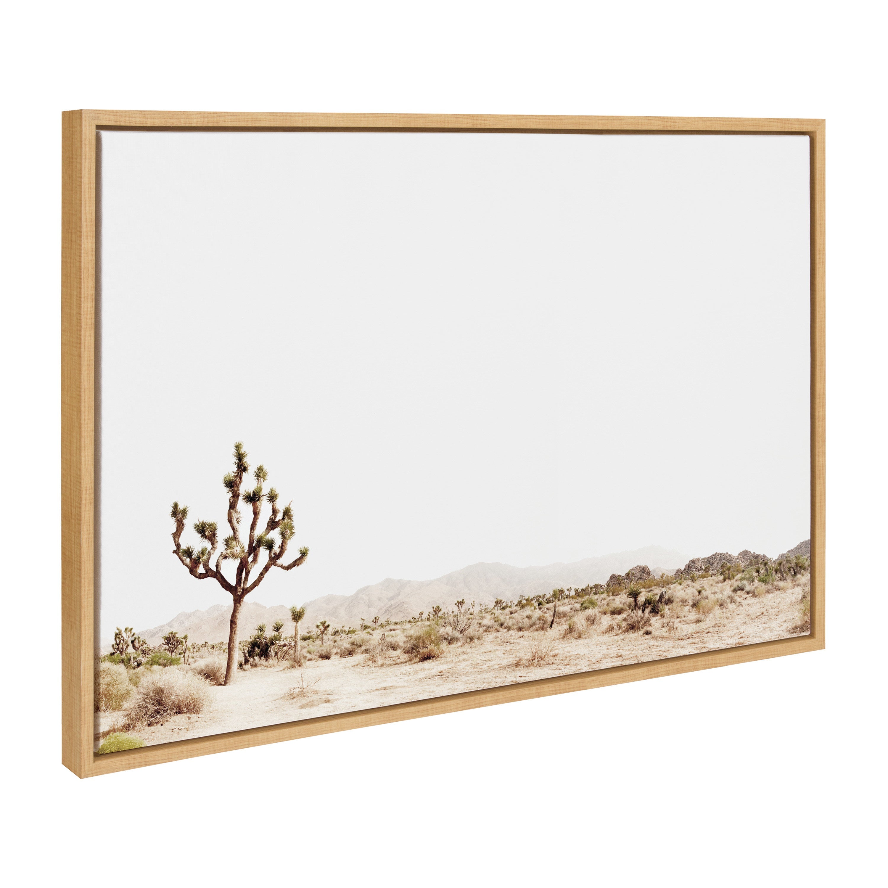 Sylvie Lone Joshua Tree Framed Canvas by Amy Peterson Art Studio by kateandlaurel - product image 13 for Resin Society