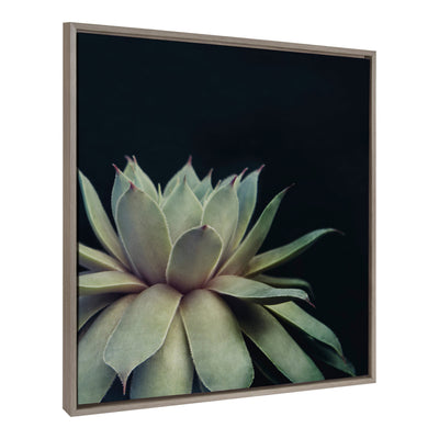 Sylvie Succulent Framed Canvas by F2 Images by kateandlaurel - product image 15 for Resin Society