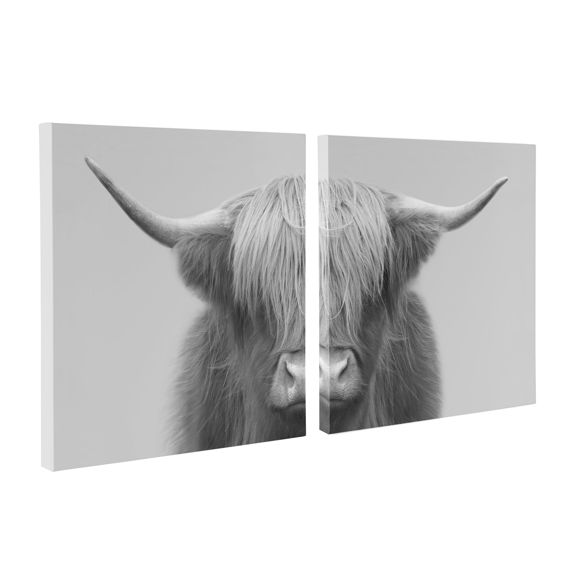 Hey Dude Highland Cow Gray Canvas by The Creative Bunch Studio by kateandlaurel - product image 10 for Resin Society
