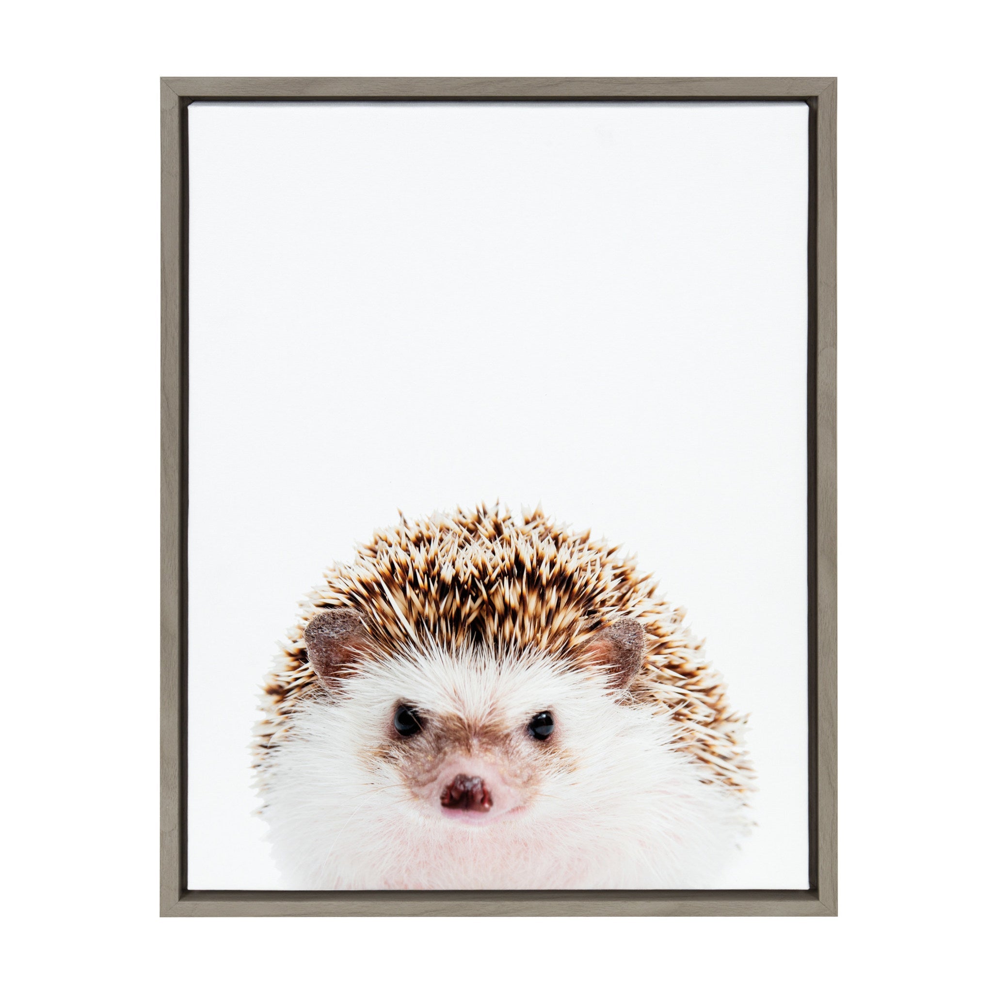 Sylvie Hedgehog Framed Canvas by Amy Peterson by kateandlaurel - main product image for Resin Society