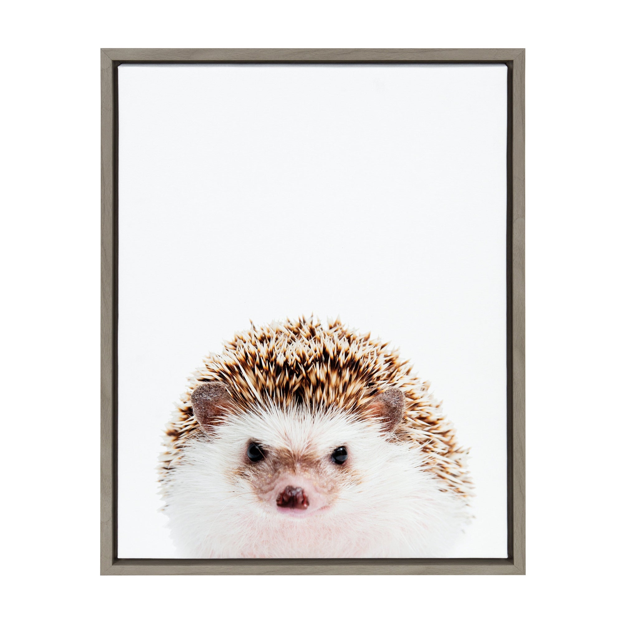 Sylvie Hedgehog Framed Canvas by Amy Peterson by kateandlaurel - product image 7 for Resin Society