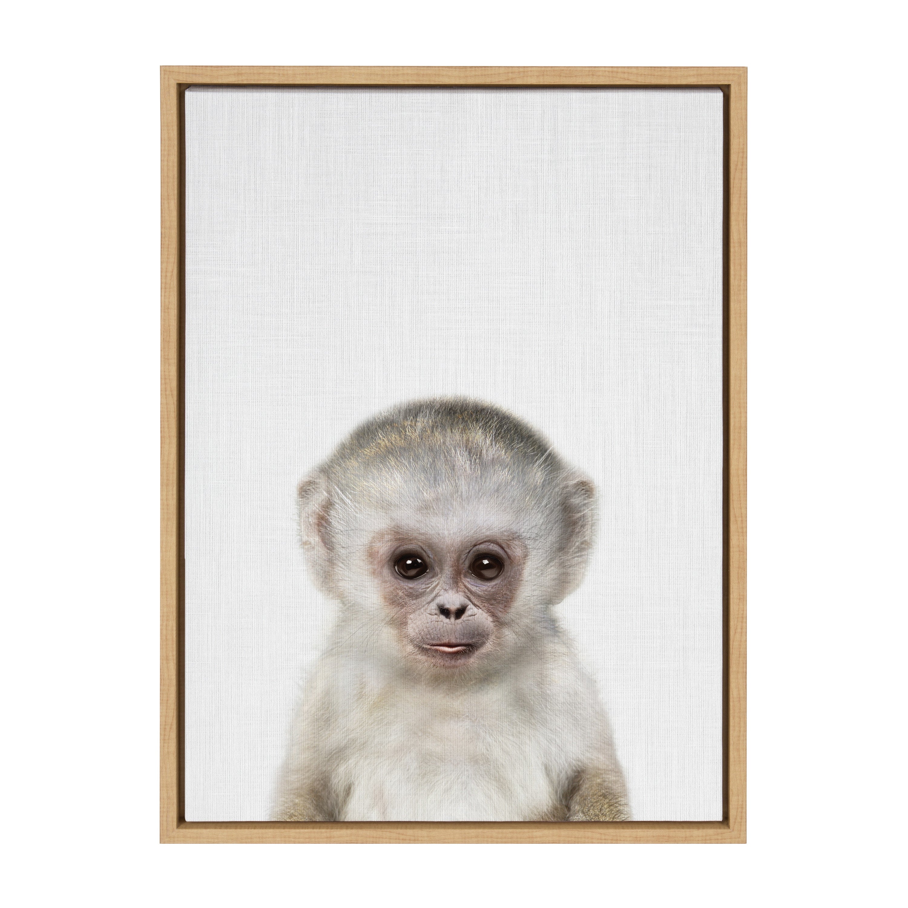 Sylvie Monkey Color Framed Canvas by kateandlaurel - product image 2 for Resin Society