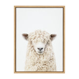 Frontal portrait of a white sheep with thick, curly wool covering its forehead and ears, set against a plain white background in a simple wooden frame.