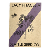 Lacy Phacelia flowers with intricate lacy leaves and violet-blue blooms