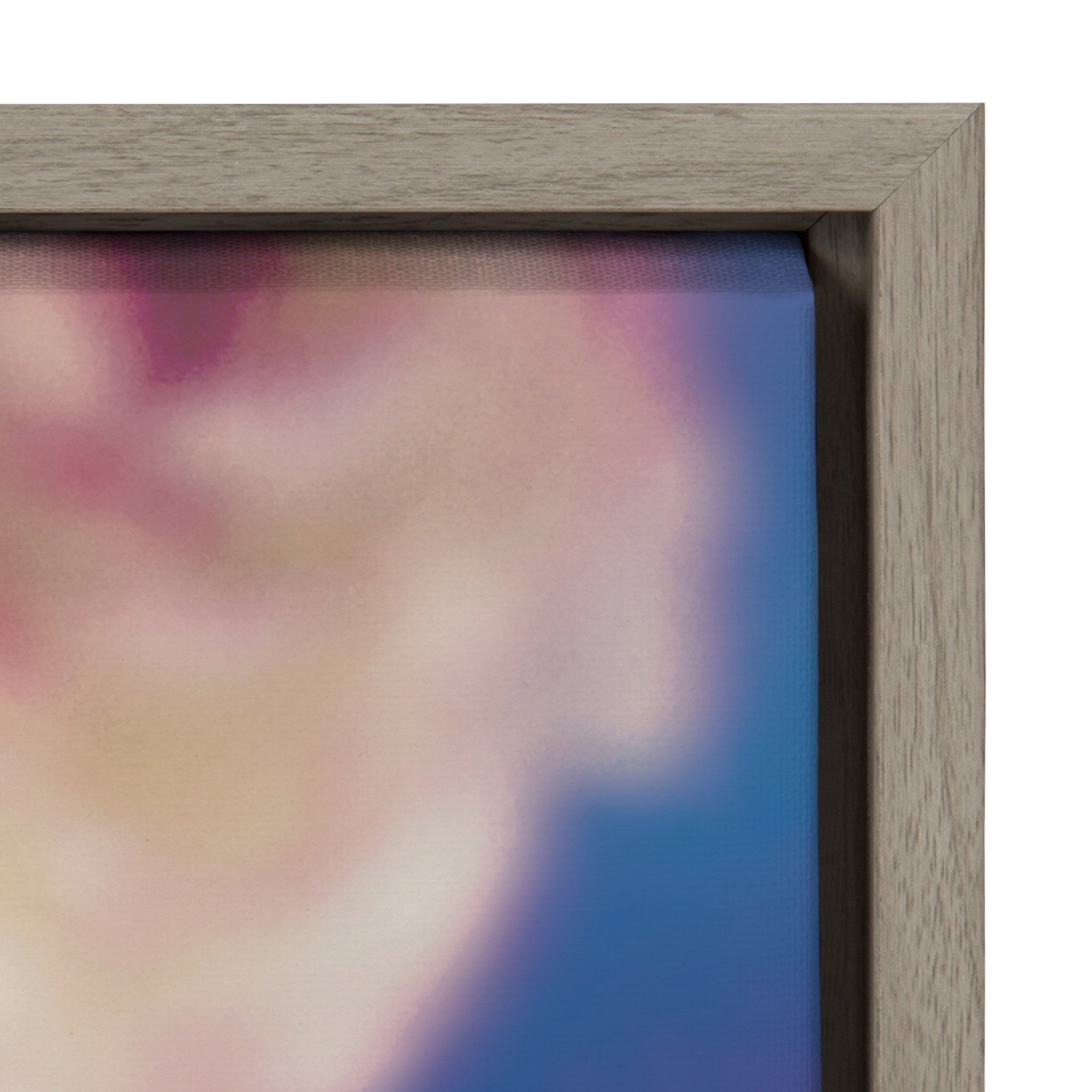 Sylvie Ranunculus in Blue Framed Canvas by kateandlaurel - product image 3 for Resin Society