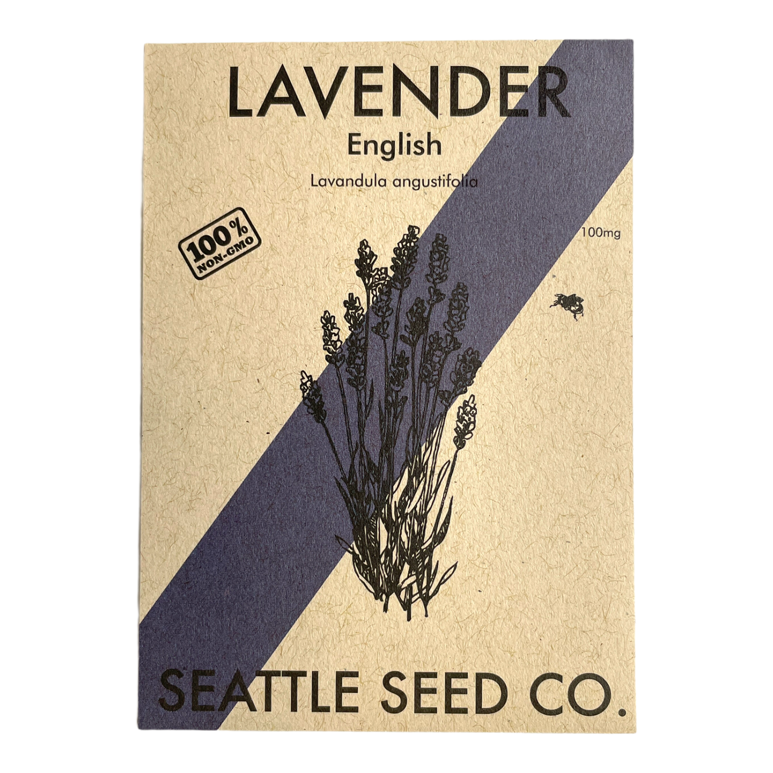Bunch of fresh English lavender flowers in soft focus