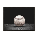Sylvie Baseball Framed Canvas by kateandlaurel - product image 9 for Resin Society