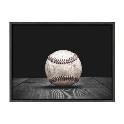 Sylvie Baseball Framed Canvas by kateandlaurel - product image 9 for Resin Society