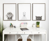 Sylvie Black Kitten Framed Canvas by Simon Te of Tai Prints by kateandlaurel - product image 11 for Resin Society