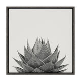 Sylvie Haze Aloe Succulent Framed Canvas by The Creative Bunch Studio by kateandlaurel - product image 10 for Resin Society