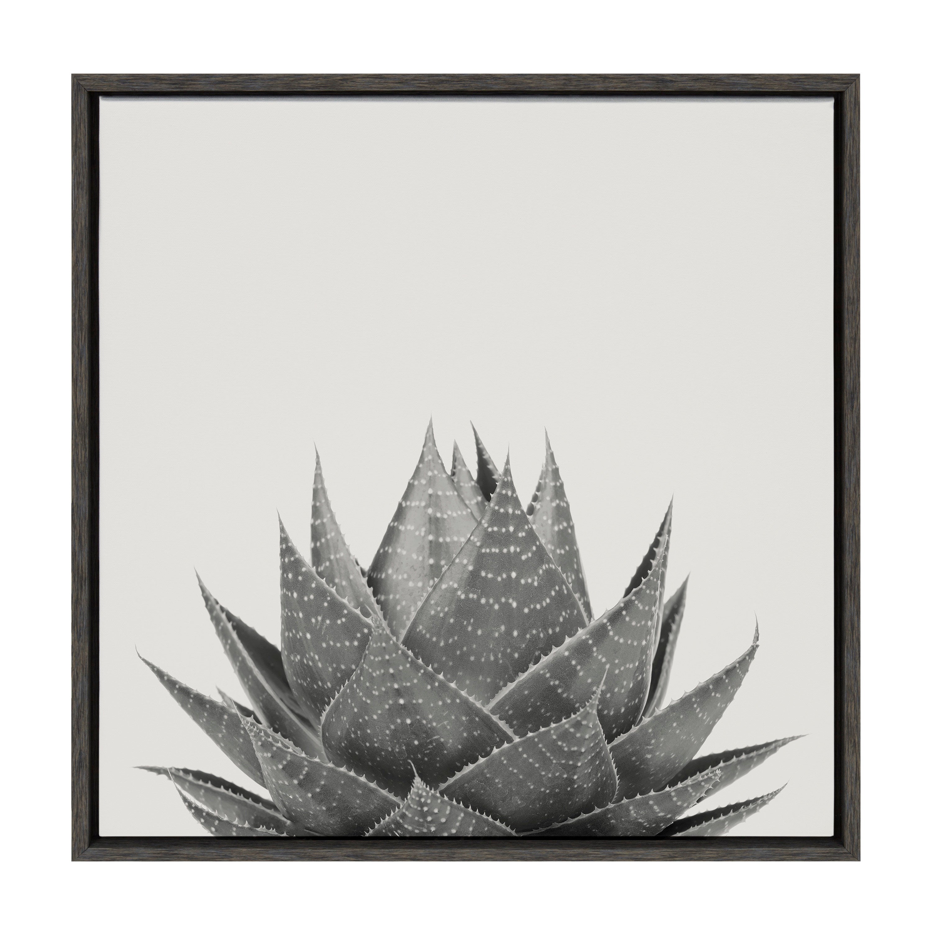 Sylvie Haze Aloe Succulent Framed Canvas by The Creative Bunch Studio by kateandlaurel - product image 10 for Resin Society